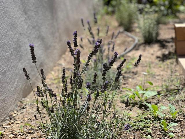 Une Nuit En Luberon Puyvert Exterior foto